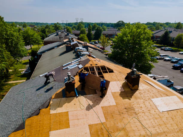 Best Flat Roof Repair Services  in Canon, GA