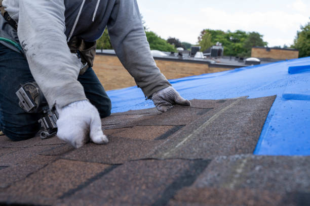 Best Local Roofing Companies  in Canon, GA