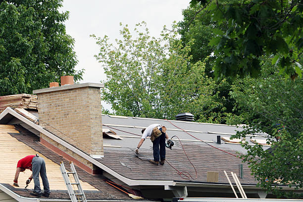 Best Roof Waterproofing Services  in Canon, GA