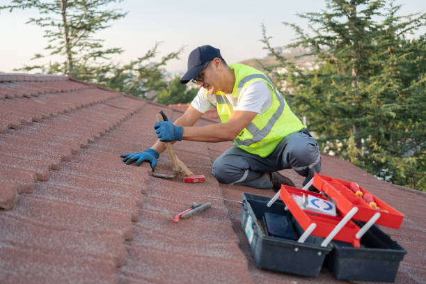 Best Roof Leak Repair  in Canon, GA