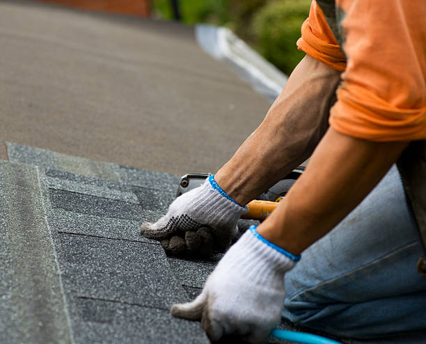 Best Roof Gutter Cleaning  in Canon, GA