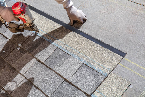 Best Roof Maintenance Services  in Canon, GA
