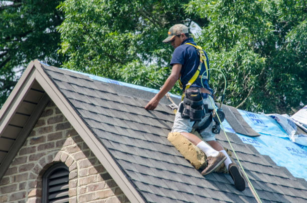 Best Gutter Installation and Roofing  in Canon, GA